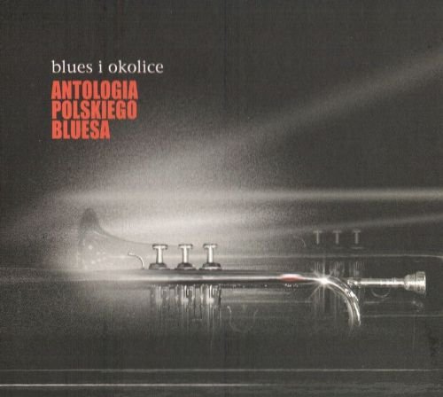 Blues i Okolice. Antologia Polskiego Bluesa Various Artists