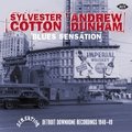 Blues Sensation: Detroit Down Home Recordings 1948-49 Sylvester Cotton, Andrew Dunham