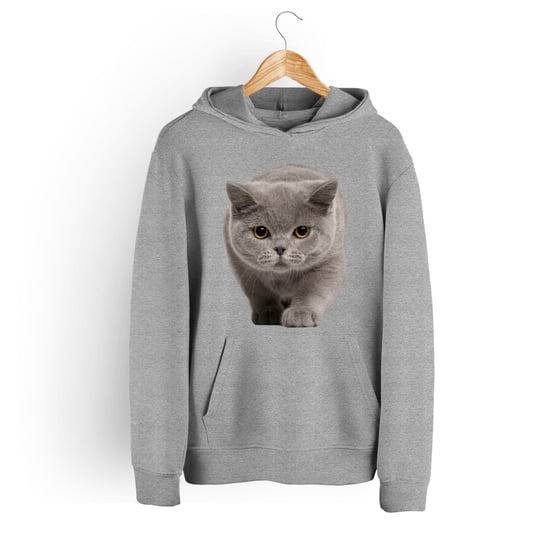 Bluza damska z kapturem kot brytyjski-XL 5made