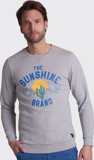 Bluza męska Shiwi Mikina The Sunshine szara  z nadrukiem -L Inna marka