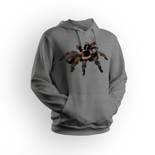 Bluza męska/unisex z kapturem pająk Brachypelma hamorii-XL 5made