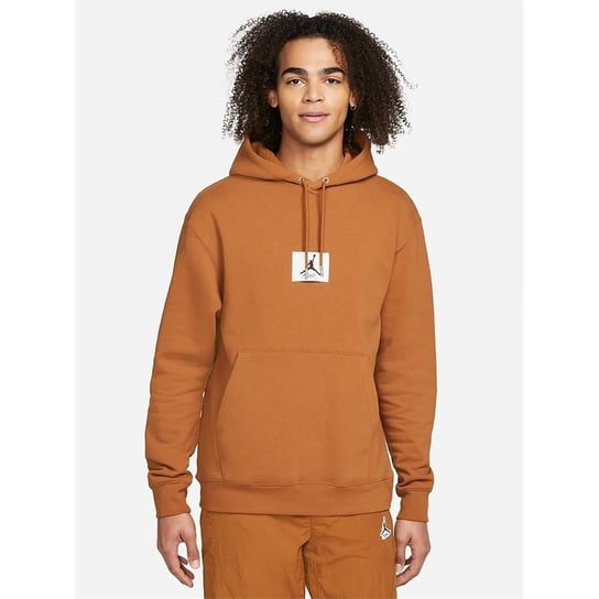 Bluza Nike Air Jordan Essentials Statement DA9816241 Nike