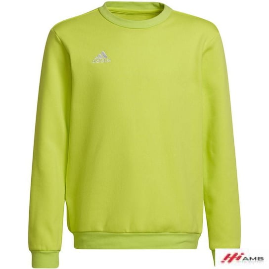 Bluza sportowa adidas Entrada 22 Sweat Top sportowy Jr HC5043 r. HC5043*128cm Adidas