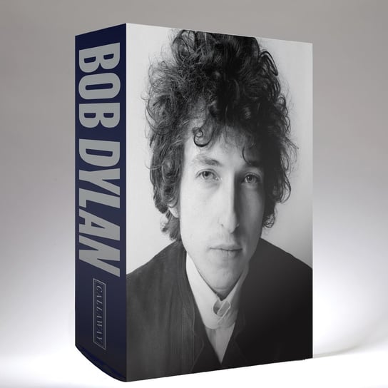 Bob Dylan: Mixing Up the Medicine Mark Davidson
