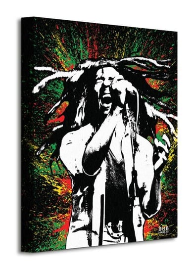Bob Marley Paint - obraz na płótnie Pyramid International