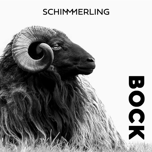 Bock Schimmerling