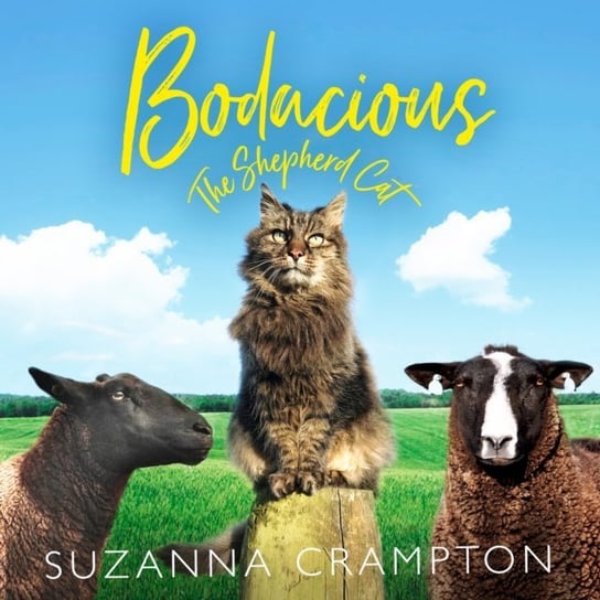 Bodacious: The Shepherd Cat Crampton Suzanna
