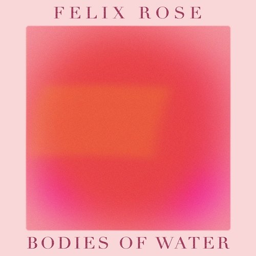 Bodies of Water felix rose