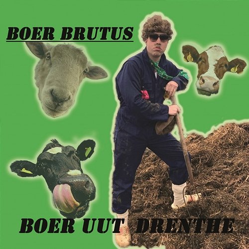 Boer Uut Drenthe Boer Brutus