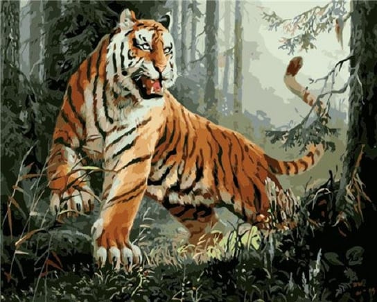 Bojowy tygrys - Malowanie po numerach 50x40 cm ArtOnly