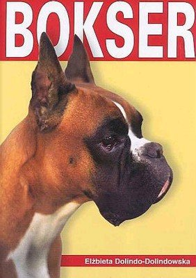 Bokser Dolinowska Elżbieta