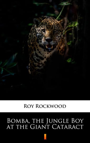 Bomba the Jungle Boy at the Giant Cataract - ebook mobi Rockwood Roy