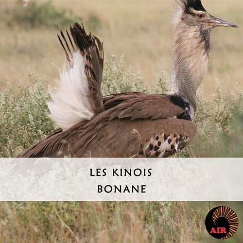 Bonane Les Kinois