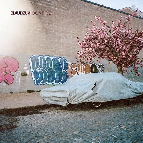Bonfire Blaudzun