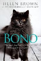 Bono: The Amazing Story of a Rescue Cat Who Inspired a Community Brown Helen