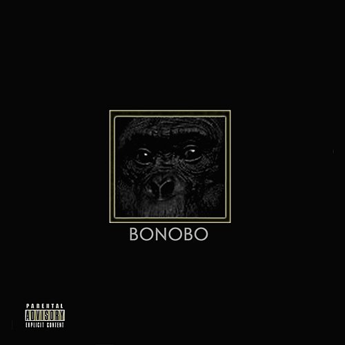 Bonobo Various Artists