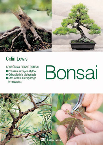 Bonsai Lewis Colin