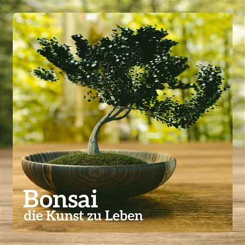 Bonsai - die Kunst zu Leben; Zen-Zustand, Meditation, Yogamusik, Orientalische Klänge, Beruhigende Musik, Entspannung Entspannende Musik Wellness