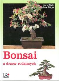 Bonsai z drzew rodzimych Stahl Horst