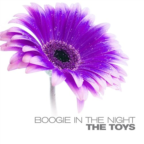 Boogie In The Night The Toys