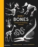 Book of Bones Balkan Gabrielle