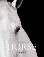 Book of the Horse: Horses in Art, The:Horses in Art Hyland Angus