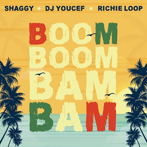 Boom Boom Bam Bam DJ Youcef, Shaggy, Richie Loop