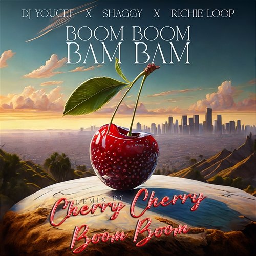 Boom Boom Bam Bam Richie Loop, Shaggy, DJ Youcef