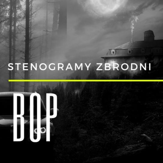 Bop  - Stenogramy zbrodni - podcast Wielg Piotr