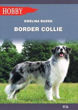 Border collie Budek Ewelina