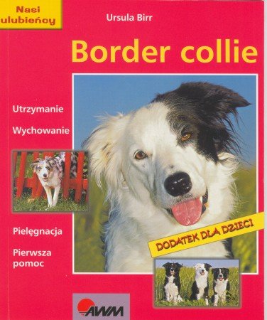 Border Collie Birr Ursula