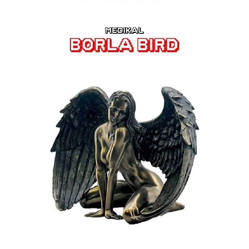 Borla Bird Medikal