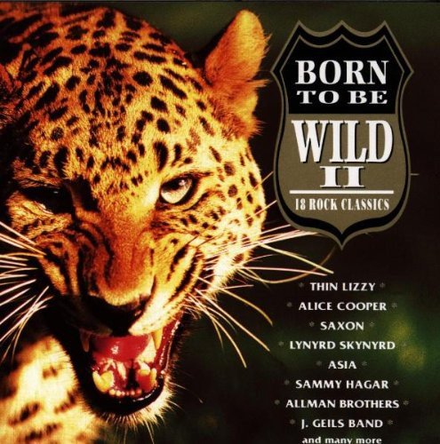 Born To Be Wild II Various Artists