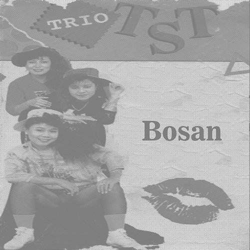 Bosan Trio TST