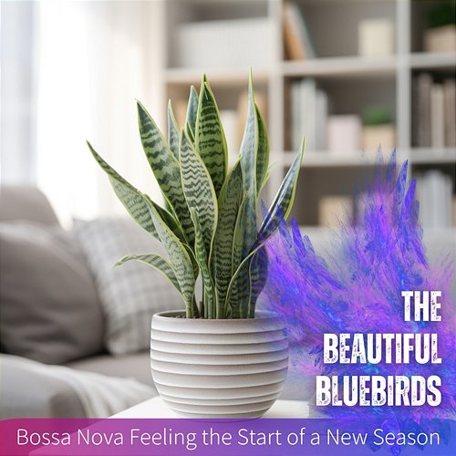 Bossa Nova Feeling the Start of a New Season The Beautiful Bluebirds