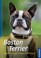 Boston Terrier Kammerling Annegret