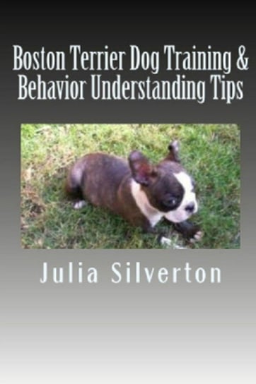 Boston Terrier Dog Training & Behavior Understanding Tips Silverton Julia