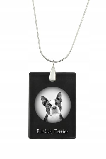 Boston Terrier Kryształowy naszyjnik z psem grawer Inna marka