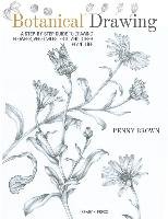 Botanical Drawing Brown Penny