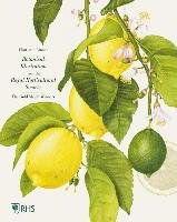 Botanical Illustration from the Royal Horticultural Society: The Gold Medal Winners Brooks Charlotte