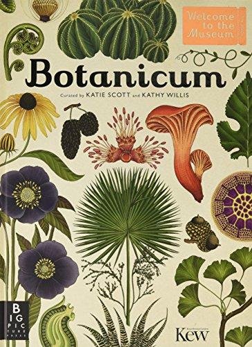 Botanicum Willis Kathy