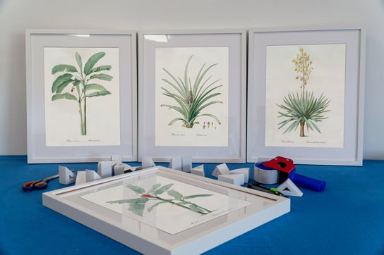 Botaniczne Plakaty, Palmy I Inne, Eleganckie DEKORAMA