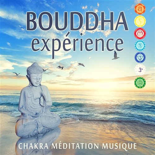 Bouddha expérience: Chakra méditation musique - Kundalini guérison spirituelle, Zen yoga tranquillité et énergie lovée, Haute conscience de soi musique d’ambiance Buddhist méditation académie
