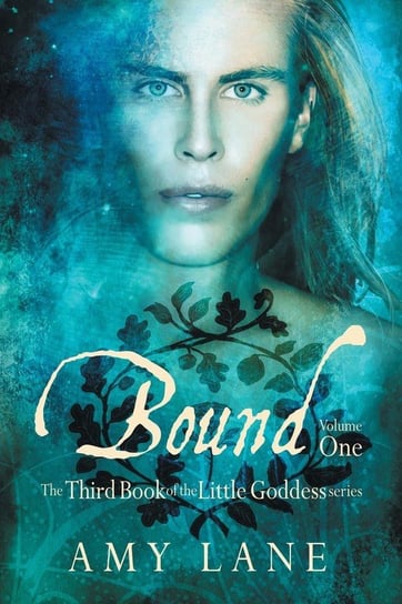 Bound, Vol. 1 Lane Amy