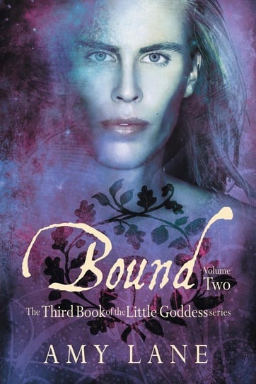 Bound, Vol. 2 Lane Amy