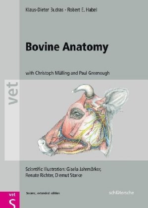 Bovine Anatomy Budras Klaus-Dieter, Habel Robert E.