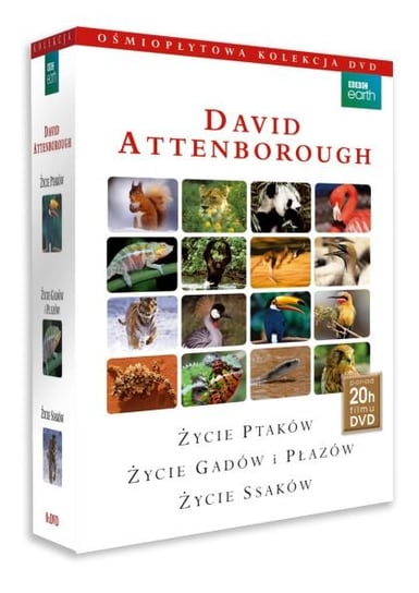 Box: David Attenborough - Życie ptaków, życie gadów i płazów, życie ssaków Attenborough David