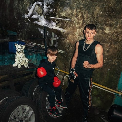 Boxer Gheba, Pave