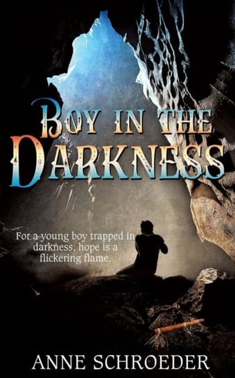 Boy In The Darkness Anne Schroeder