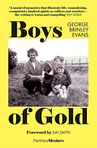 Boys of Gold George Brinley Evans